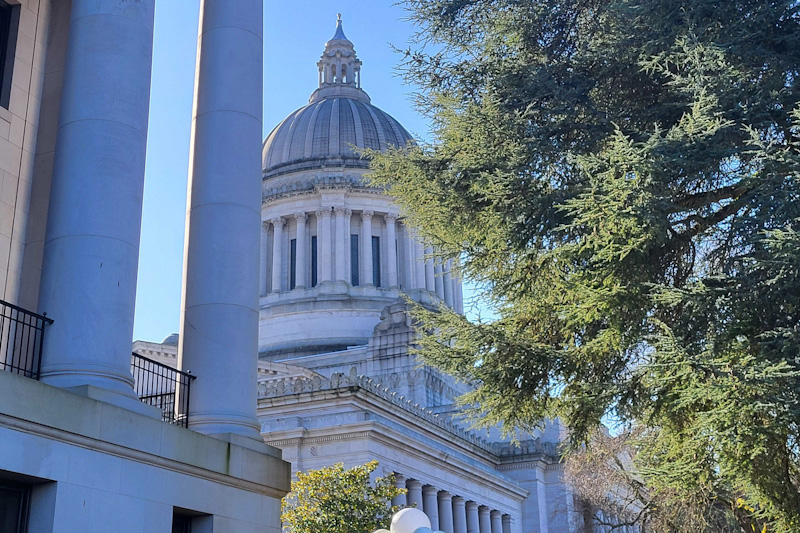 caption:  The Washington Legislative Building on Feb. 23, 2024. 