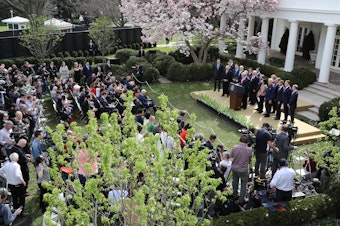 caption: President Trump speaks during a news conference about the coronavirus pandemic in the Rose Garden of the White House on March 13.