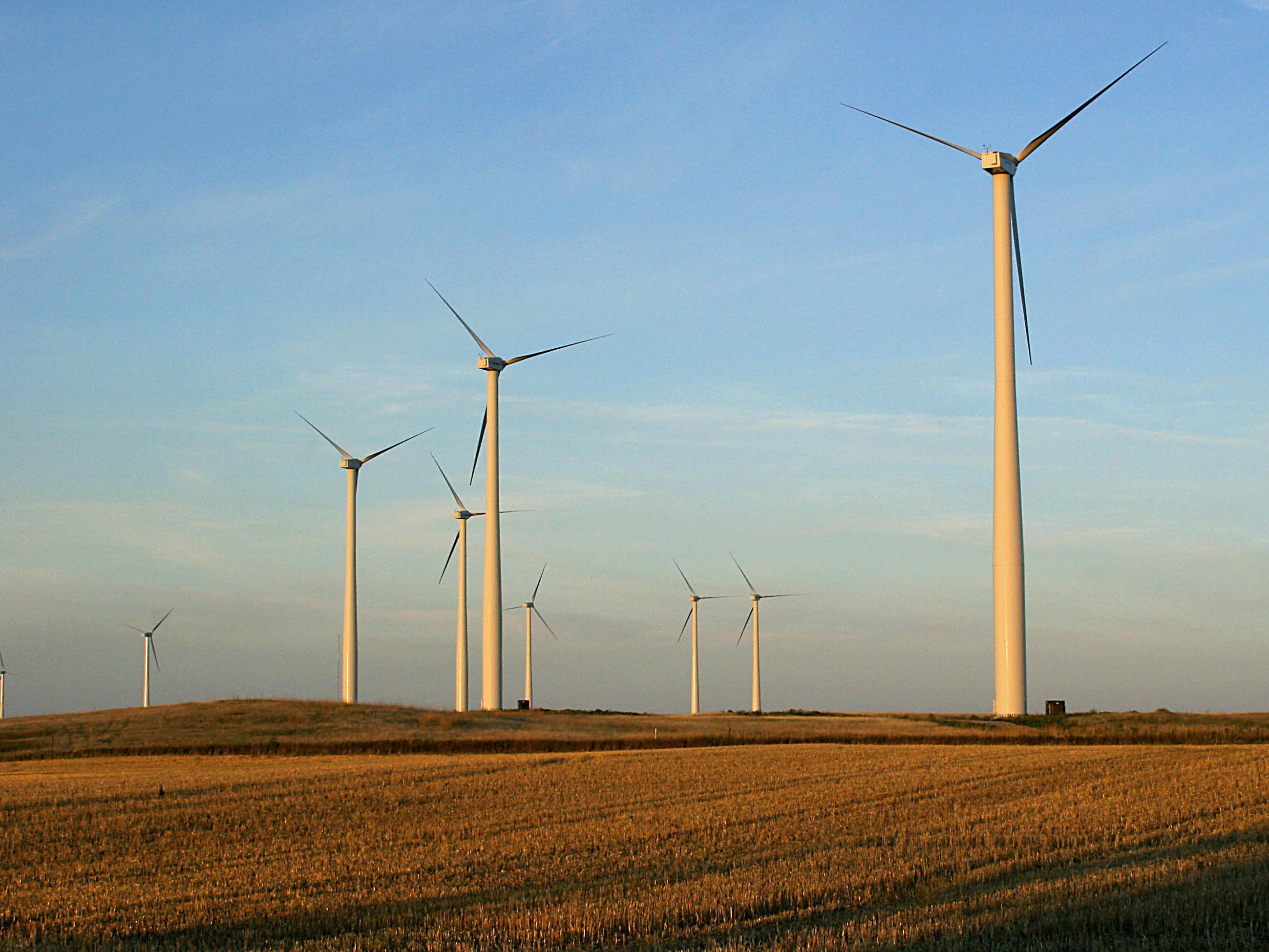 caption: A windfarm near Velva, North Dakota. Two counties in the state have enacted drastic restrictions on new wind projects in an attempt to save coal mining jobs, despite protests from landowners who'd like to rent their land to wind energy companies.