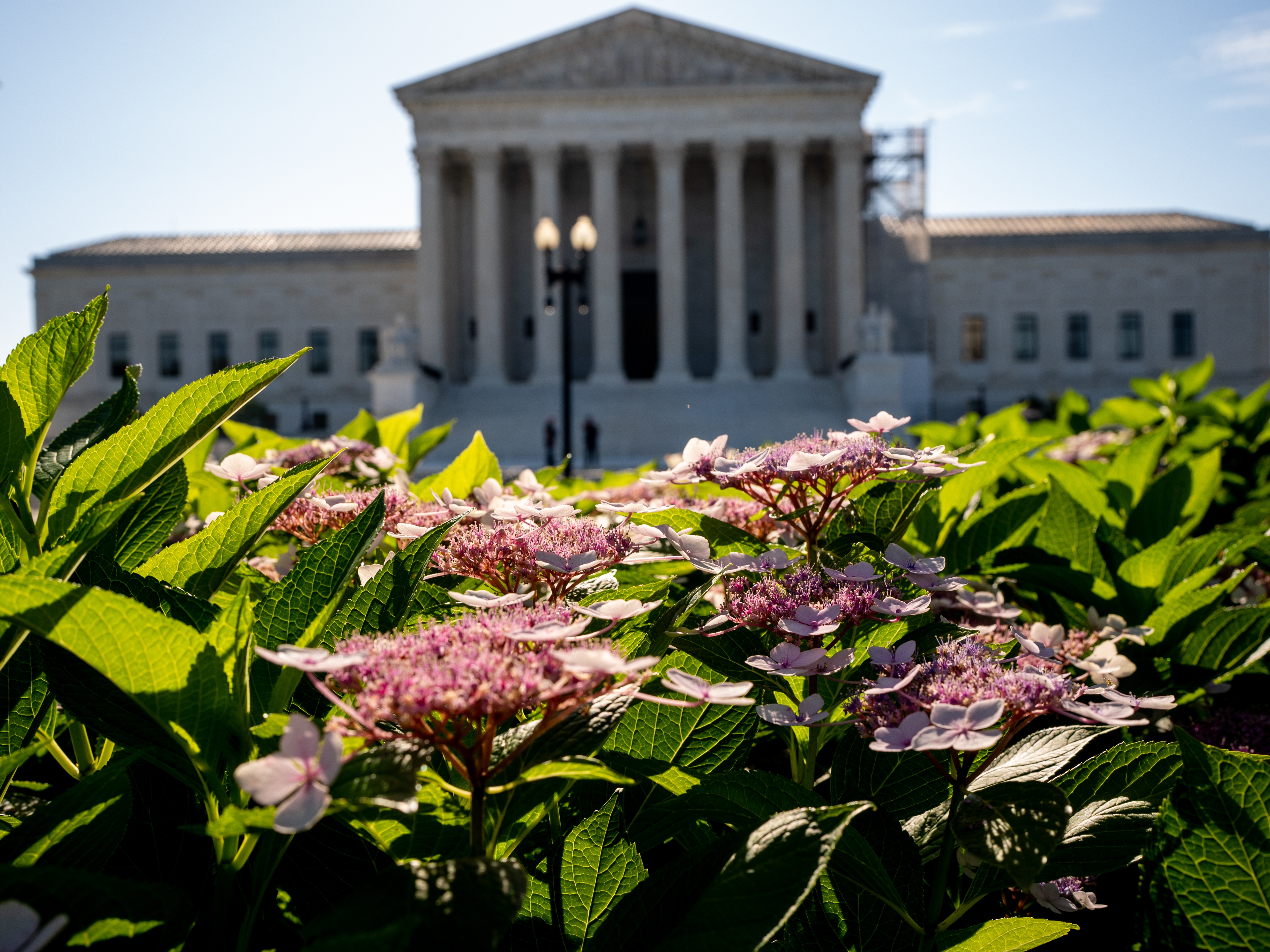 caption: The Supreme Court hears arguments Wednesday in a case that tests whether South Carolina can remove Planned Parenthood clinics from its state Medicaid program, even though Medicaid funds cannot generally be used to fund abortions.