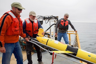 caption: Oregon State University oceanographer Jack Barth deploys a glider that will spend weeks at sea collecting data on everything from dissolved oxygen levels to temperature. "When we used to think about hypoxia in the ocean, we think about little areas. But now what we're looking at is...out in the ocean, there's low oxygen...all along the coast," he says.