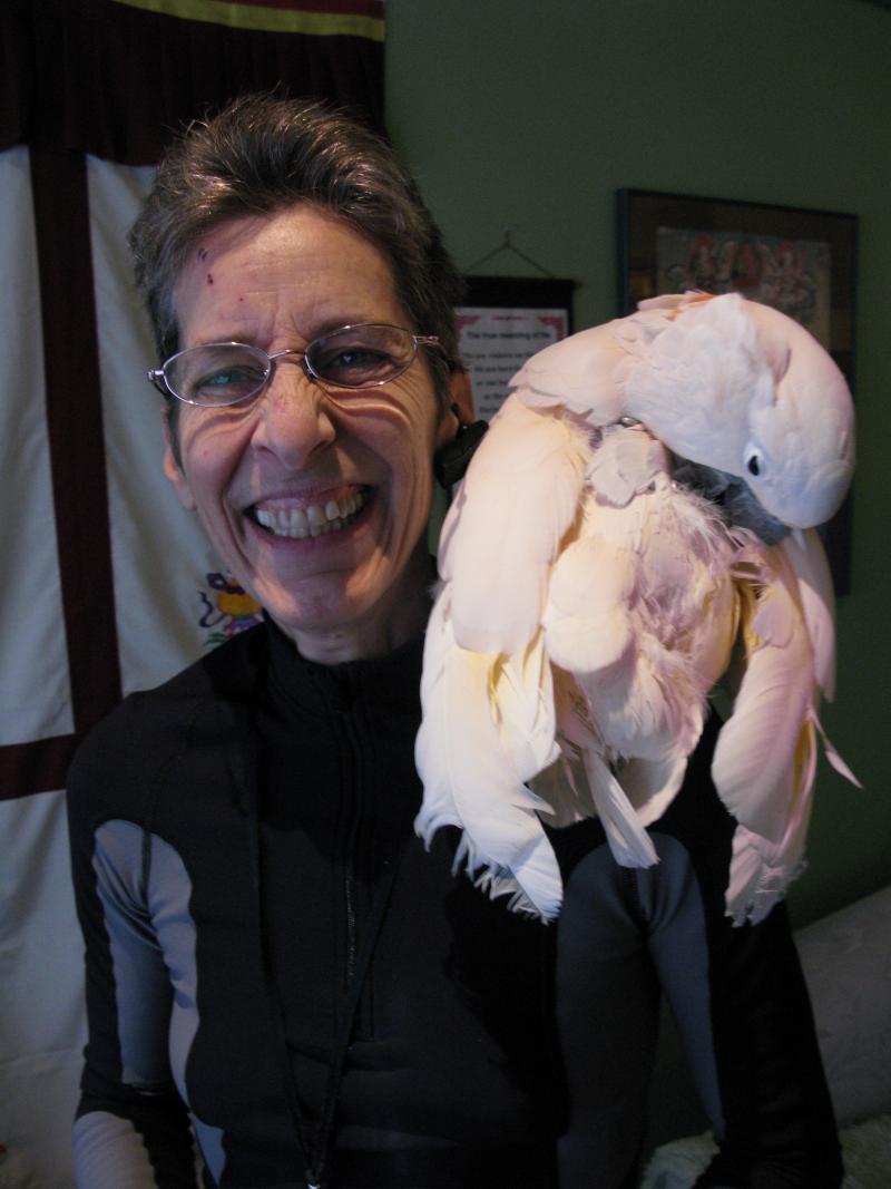 caption: Muraco Kyashna-tocha of Green Buddha Patient Co-op (with cockatoo) obtained a Seattle business license.