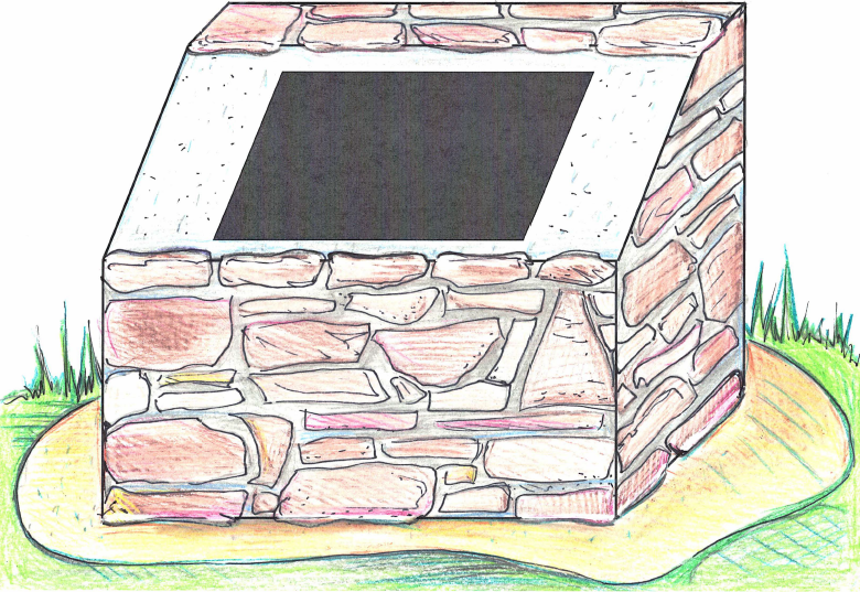 caption: The Box Turtle Connection has plans for a time capsule that will contain letters from volunteers who are a part of the study to future ones.