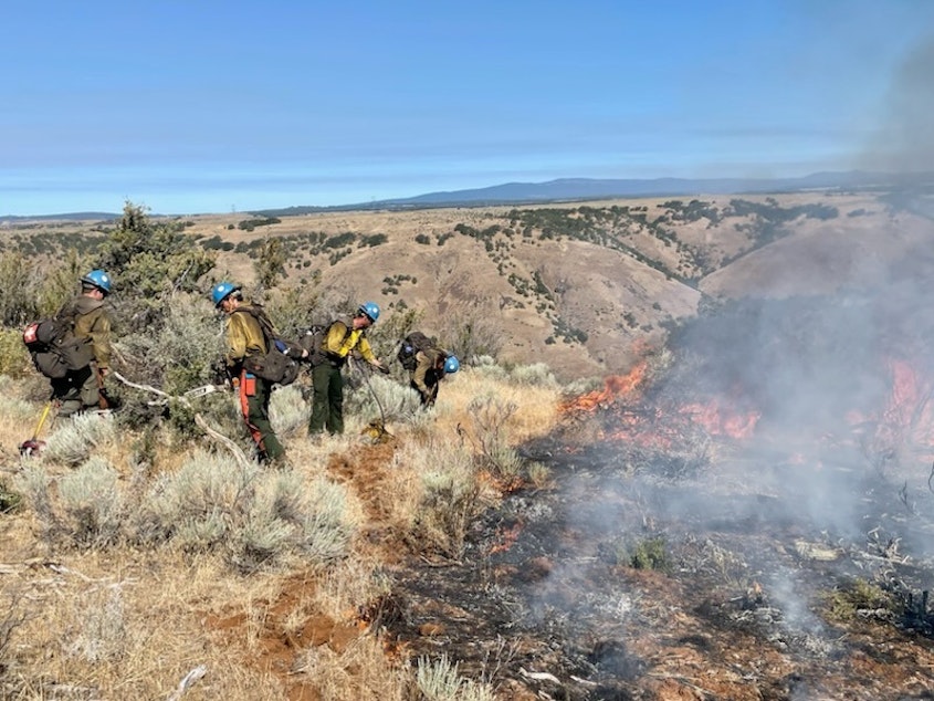 caption:  Prineville Hotshots construct handline along the edge of the Newell Road Fire in south-central Washington. 