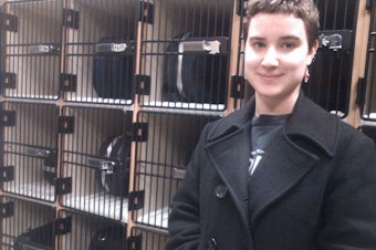 Maeve, Here In Shorecrest High School's Instrument Storage Room, Plays In A Variety Of Orchestras, From School Orchestra To Youth Symphony To Theatre Pits.