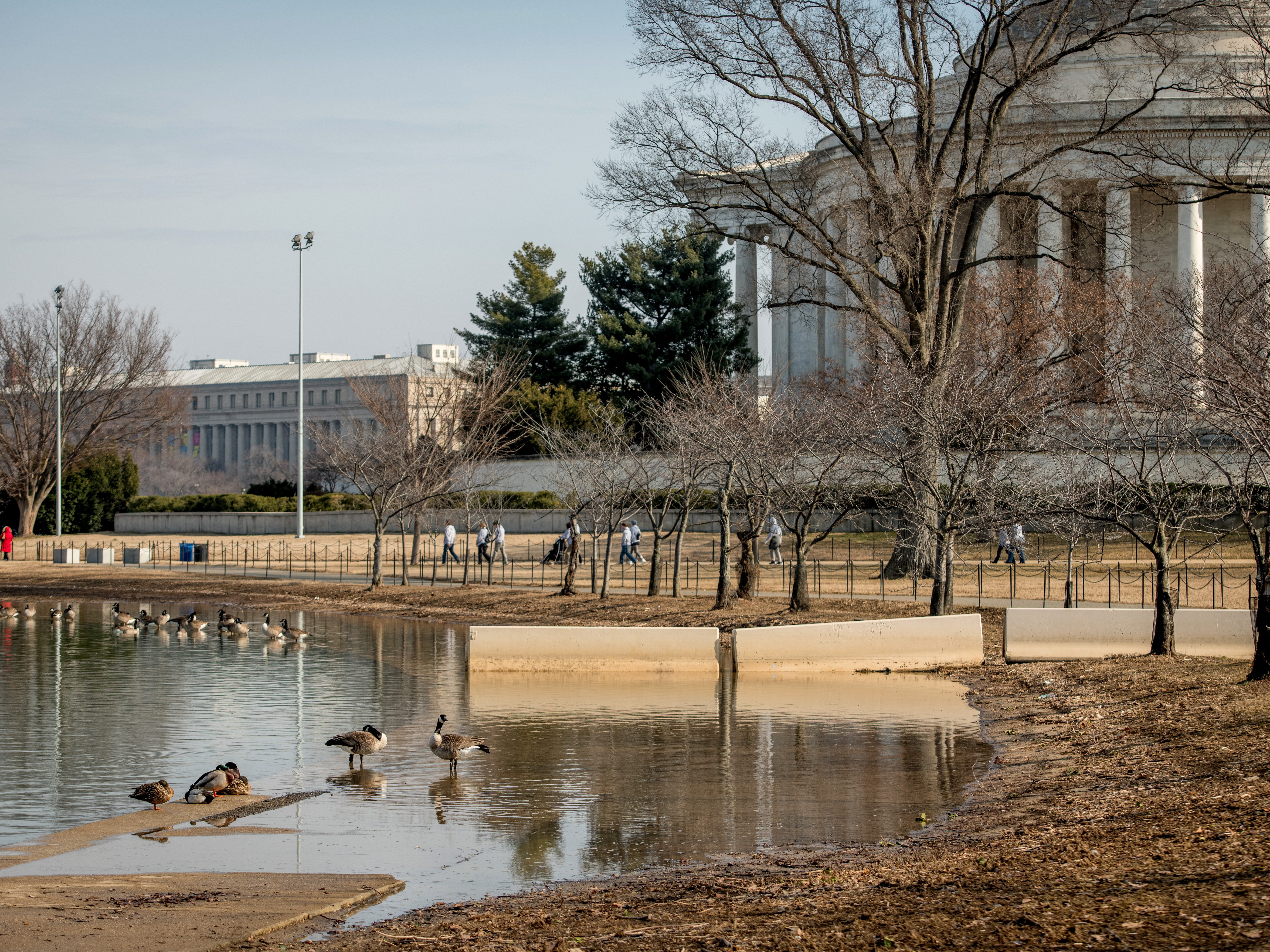 caption: Increased car and foot traffic coupled with rising sea levels has driven parts of the Tidal Basin area underwater.