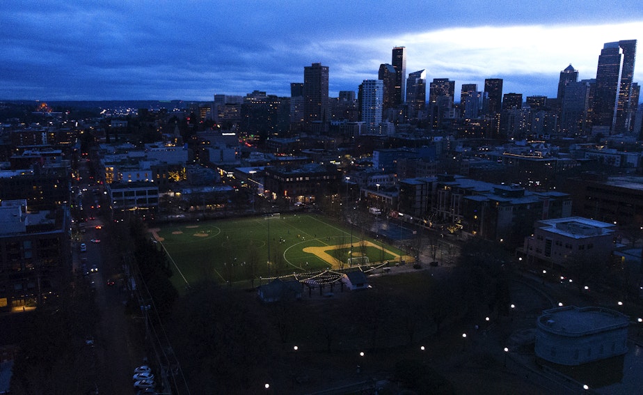 caption: An aerial view of synthetic turf athletic fields at Cal Anderson Park is shown on Thursday, January 25, 2024, in Seattle. Here, the recycled tire crumb rubber surface was replaced with an experimental cork alternative.