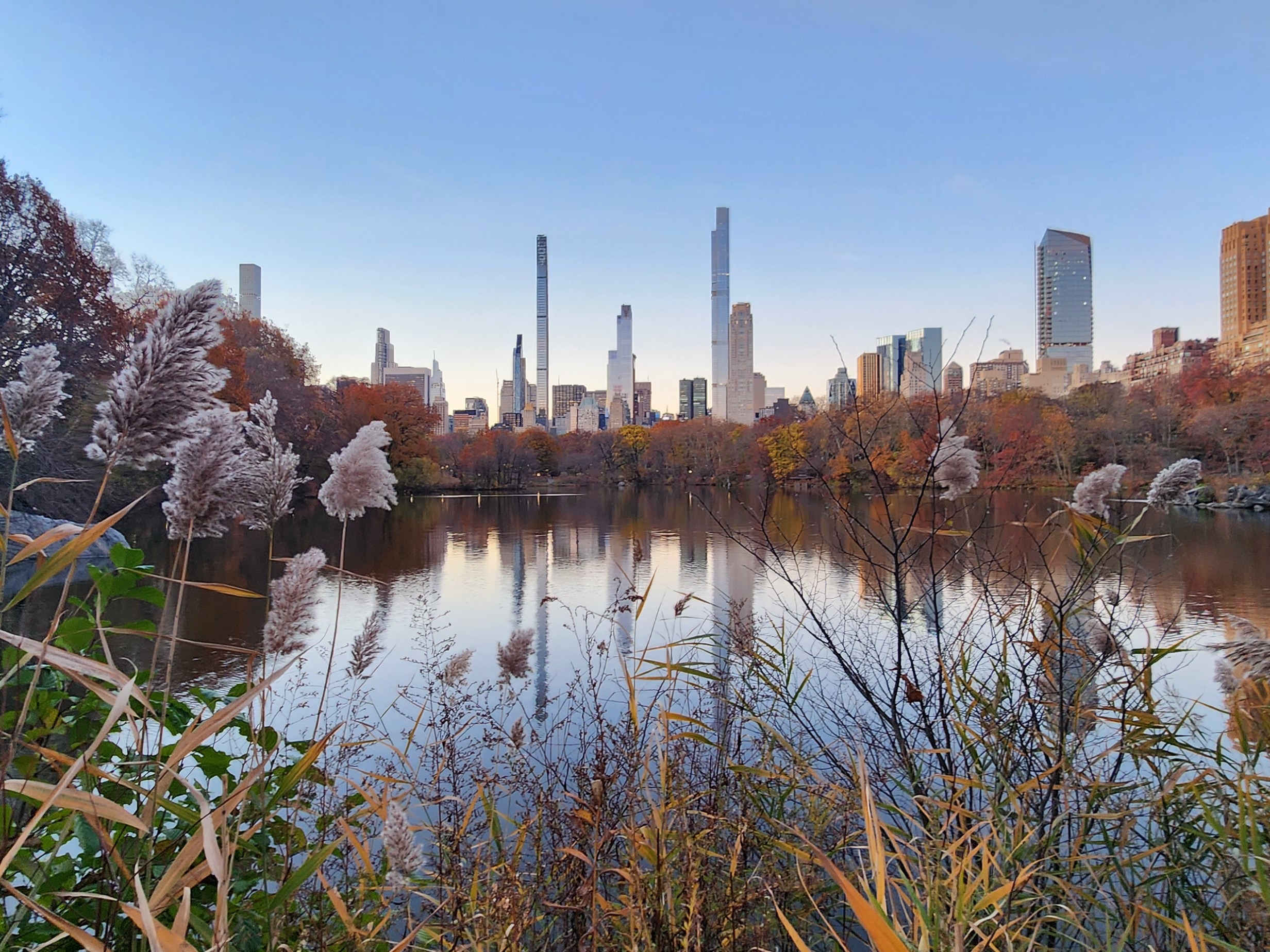 caption: New York City shimmers sunrise.  From the wildest corners of Central Park, the city is framed by forests. The sound of traffic and sirens is softened by the murmur of streams and geese taking flight from lakes.