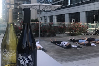 caption: LifeVine boasts that it has little sugar and higher antioxidant levels than most wines. There is a wave of wines and spirits that aim to woo wellness enthusiasts. But some health claims made by alcohol brands have scientists on edge.