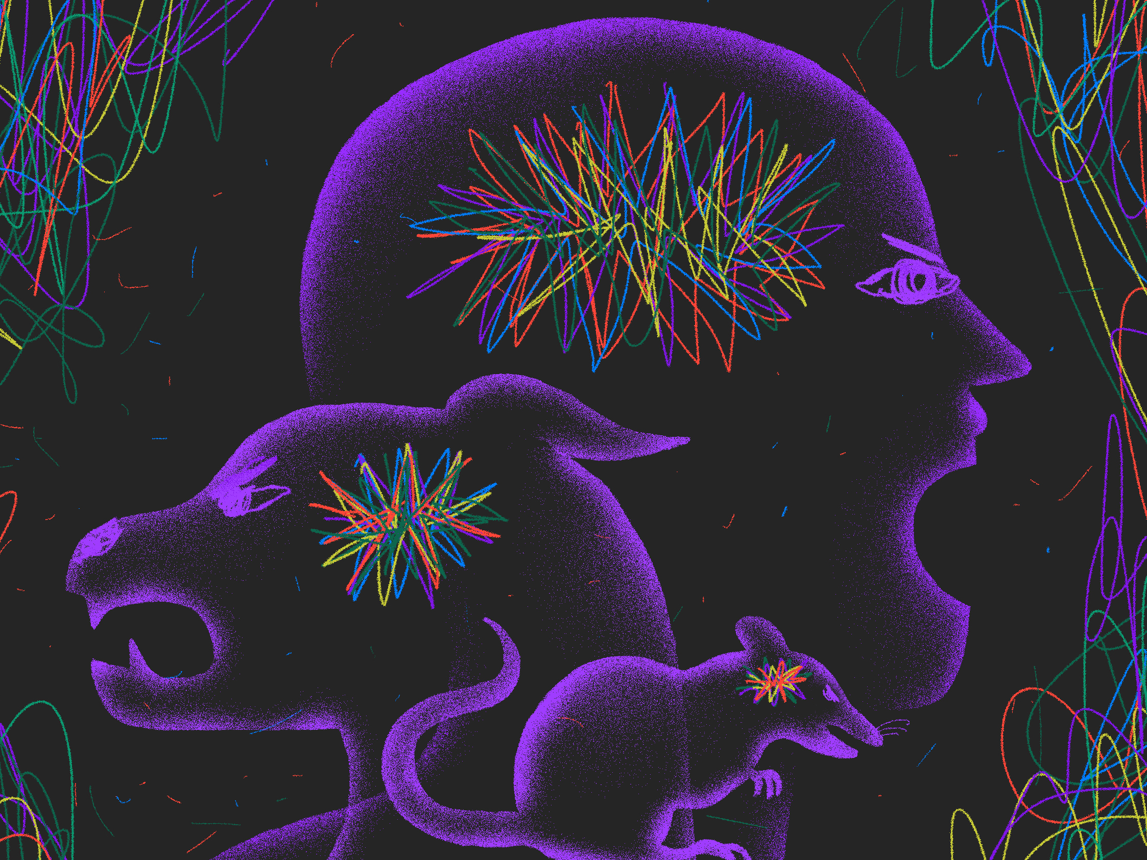 People get angry. But what about animals? Scientists find similarities in animal and human behavior and biology.