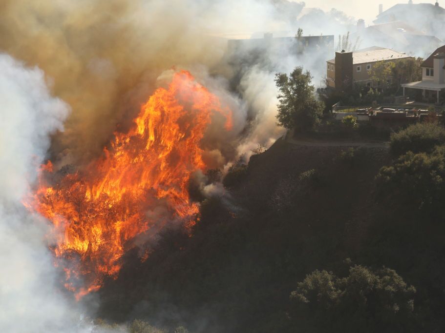 caption: Fire experts say trimming the vegetation directly around a home goes a long way in reducing fire danger, but clearing vast areas of Los Angeles' chaparral brush could actually make the problem worse.