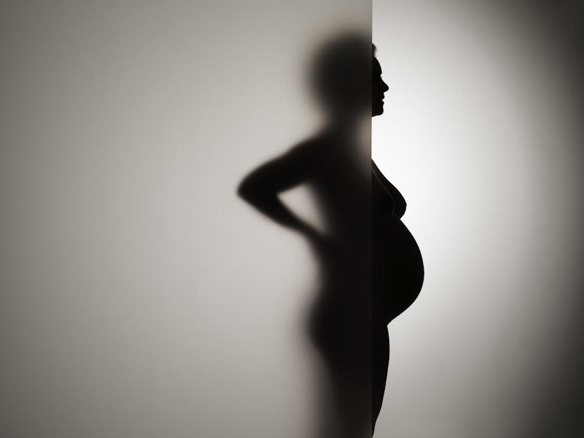 A pregnant woman stands behind frosty glass.