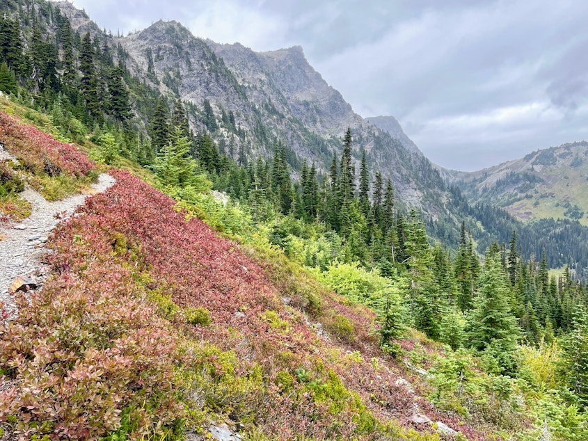 caption: A section of the Pacific Northwest Trail near Hayden Pass in Olympic National Park on Sept. 3, 2023.