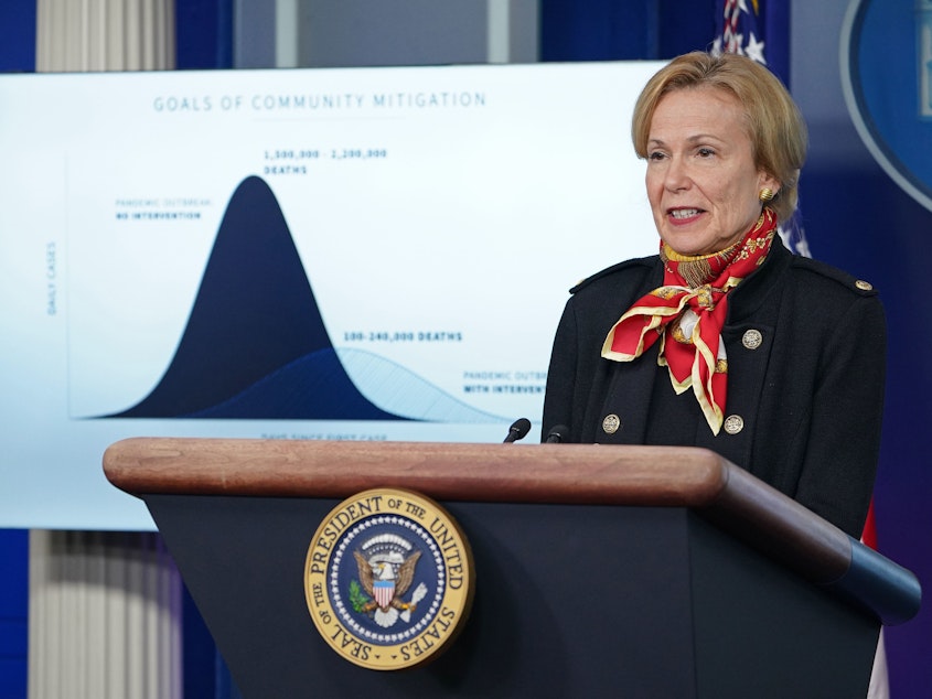 caption: Dr. Deborah Birx, response coordinator for White House coronavirus task force, speaks during Tuesday's briefing.