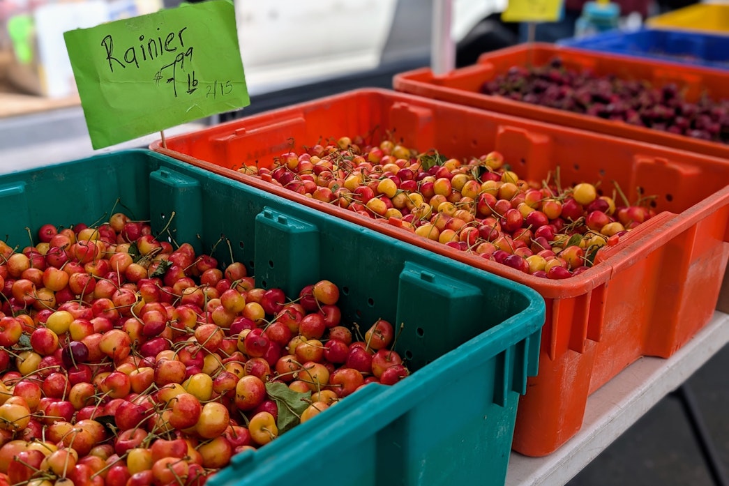 caption: Rainier cherries for sale at a Seattle farmers market in June 2025.