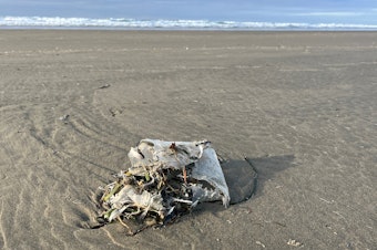 caption: This decaying plastic litter on the beach at Newport, Oregon, is on its way to becoming microplastic pollution.