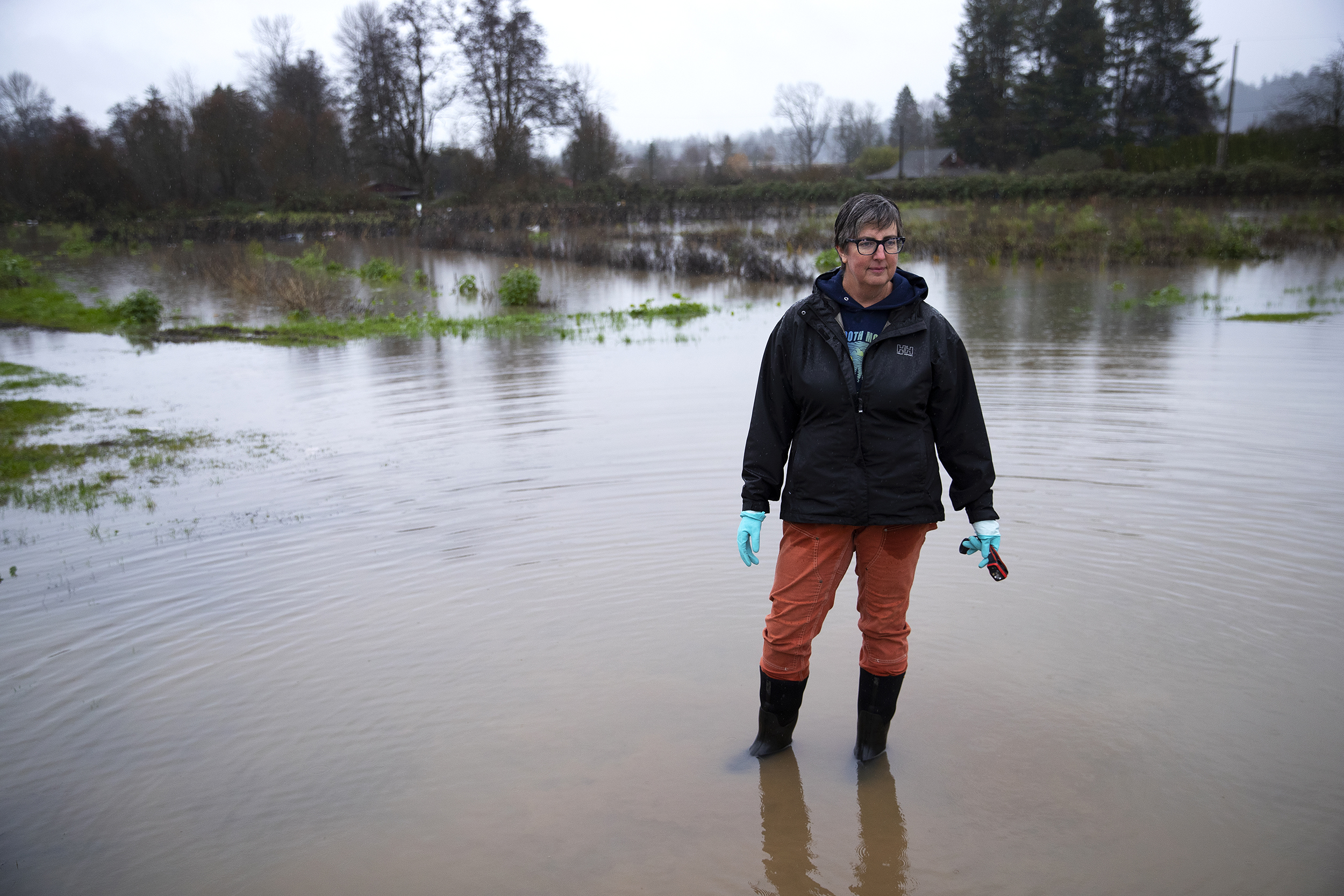 caption: Shelley Pasco, owner of Whistling Train Farm, stands in one of the flooded fields at her farm on Thursday, Dec. 18, 2025, near the Green River in Kent, Washington. 