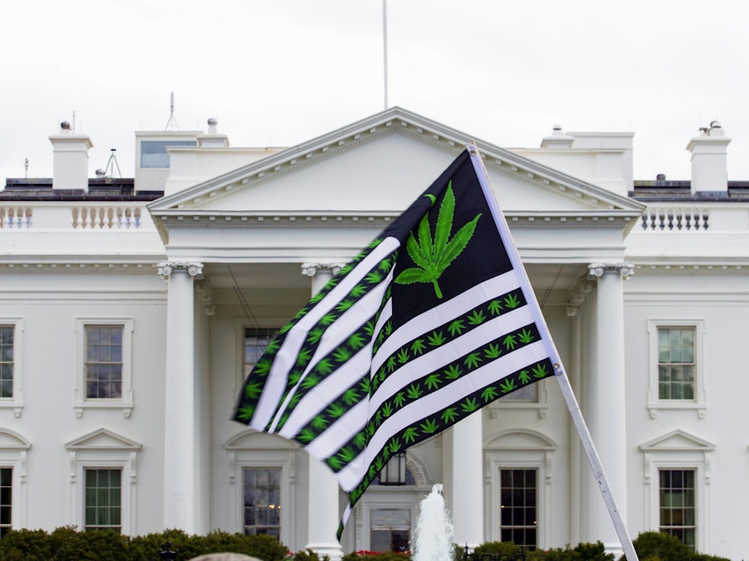 caption: A demonstrator waves a marijuana-themed flag in front on the White House. President Biden is pardoning thousands of Americans convicted of "simple possession" of marijuana under federal law.