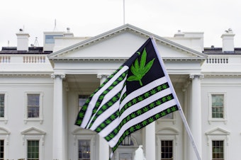 caption: A demonstrator waves a marijuana-themed flag in front on the White House. President Biden is pardoning thousands of Americans convicted of "simple possession" of marijuana under federal law.