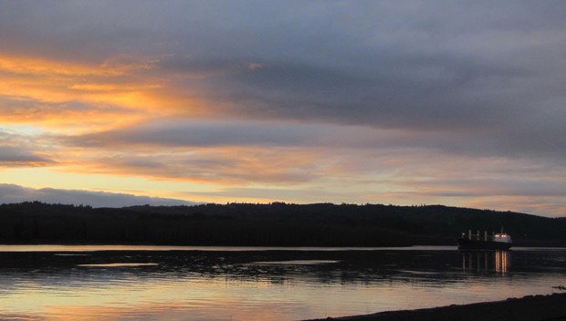 caption: <p>A grain ship on the Columbia River at the Port of Kalama, which could one day also host a methanol plant.</p>