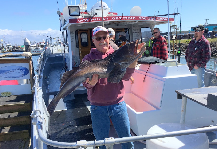 caption: Charter captain Steve Westrick with a big lingcod a client caught on Easter weekend.