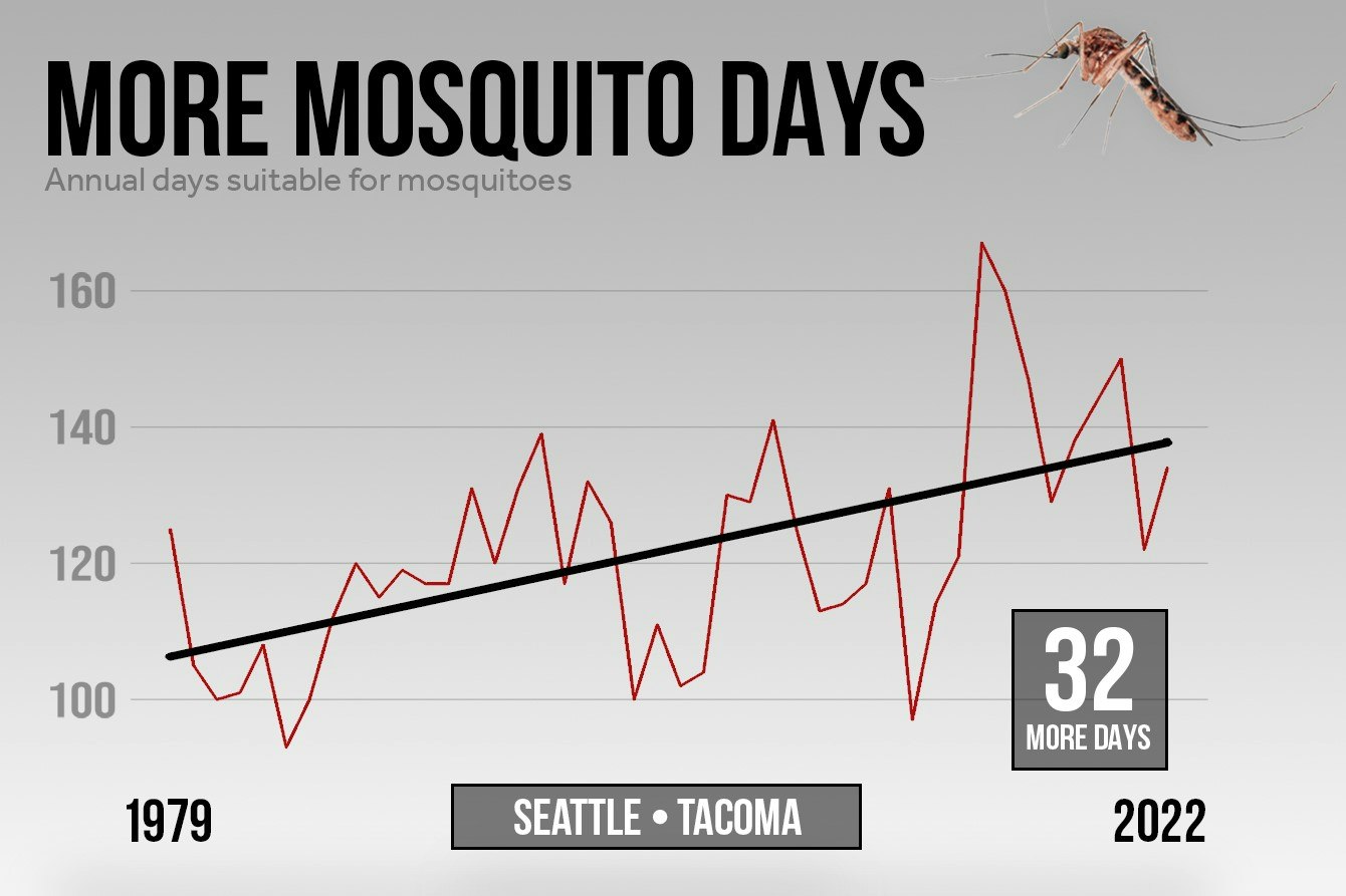 KUOW - Who likes a hotter climate? Northwest mosquitoes - Vimarsana News