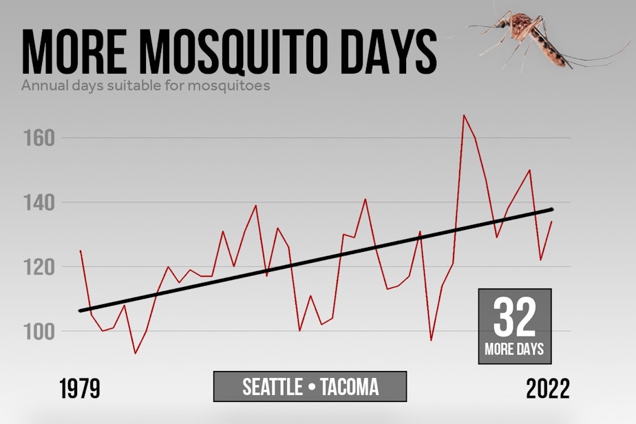 caption: A warmer climate has lengthened mosquito season in the Seattle-Tacoma area, according to the nonprofit Climate Central.