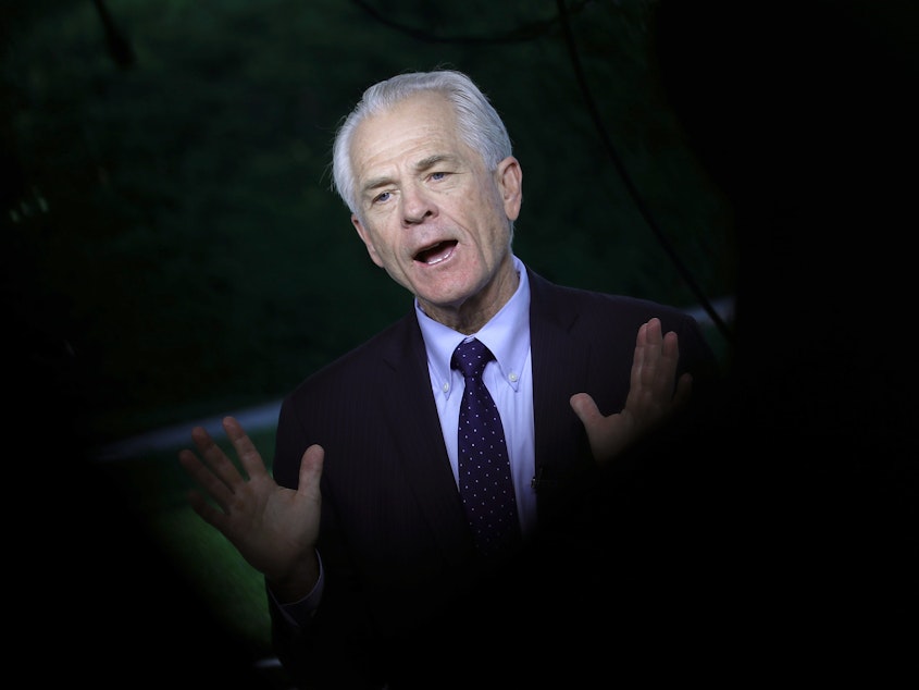 caption: Peter Navarro, White House director of trade and manufacturing policy, has admitted quoting a fictional character in several of his nonfiction books.
