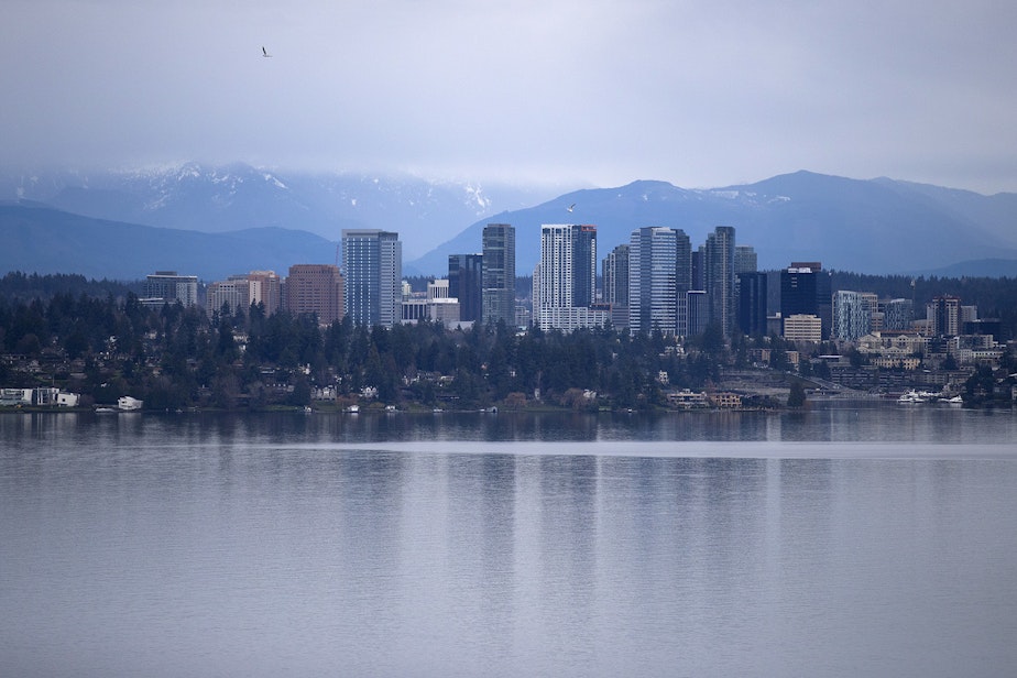 caption: Bellevue is shown on Thursday, January 17, 2019, from the Madrona neighborhood in Seattle. 