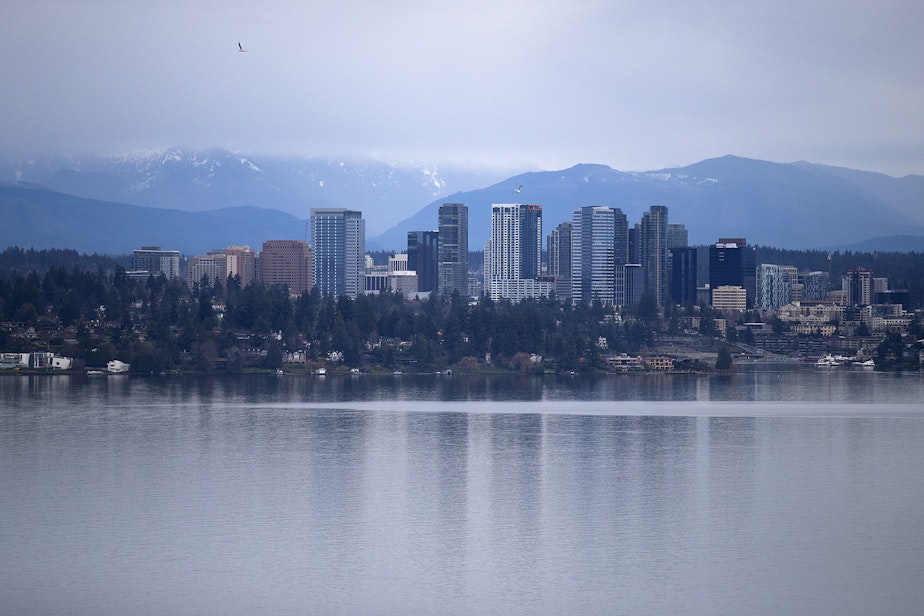 caption: Bellevue is shown on Thursday, January 17, 2019, from the Madrona neighborhood in Seattle.