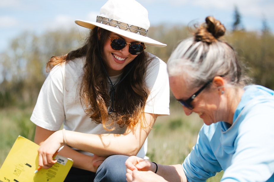 caption: Julia Trautmann, left, with the Washington Department of Fish and Wildlife laughs with Erica Henry while releasing Taylor’s checkerspot butterflies from mesh tents at Scatter Creek Wildlife Area on April 30, 2025, in Thurston County.