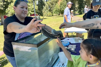 caption:  Yakama Nation biologist Dave’y Lumley shows Aleeyah McJoe, 7, an adult lamprey at the Yakama Nation's Willamette Falls Lamprey Celebration.