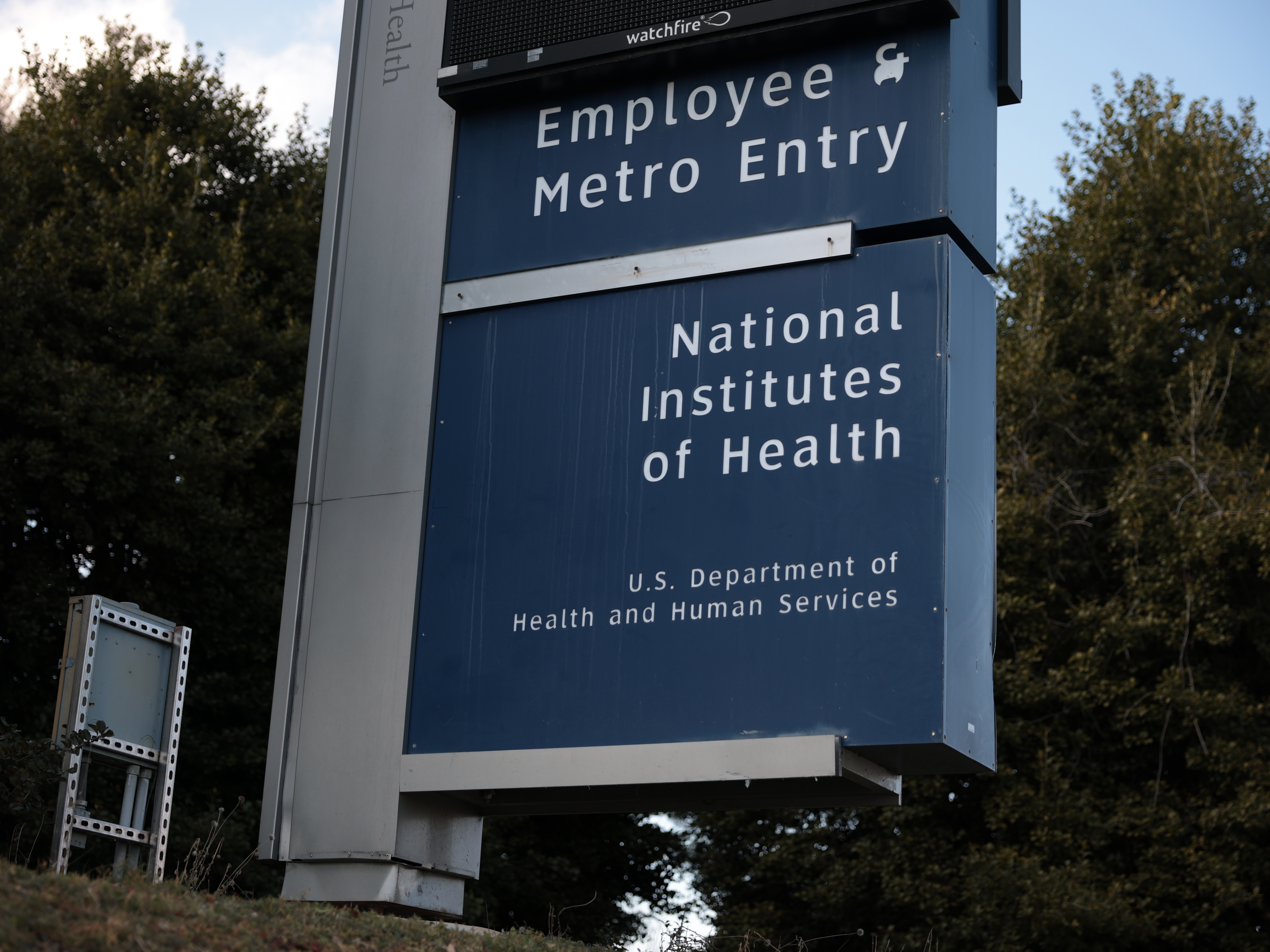 caption: Hundreds of NIH scientists protested cuts to the research agency in a declaration addressed to NIH Director Jay Bhattacharya.