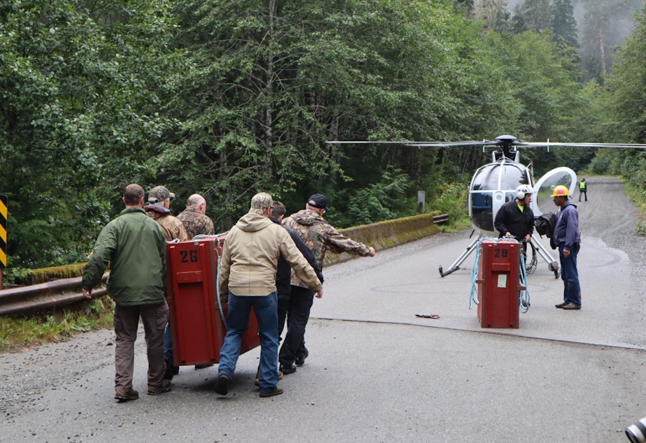 caption: Wildlife biologists and volunteers relocated crated mountain goats by helicopter from a staging area on the Mountain Loop Highway east of Granite Falls, Washington.