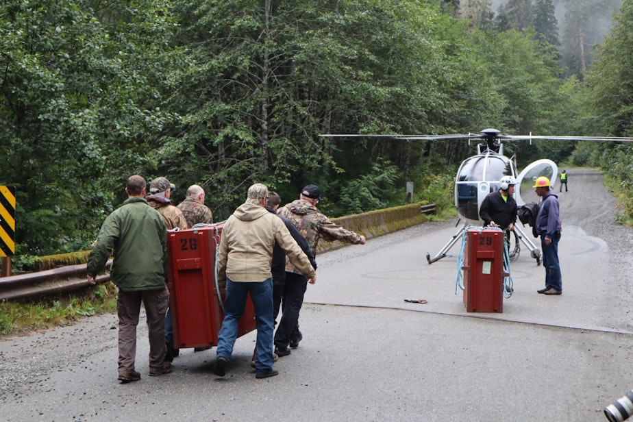 caption: Wildlife biologists and volunteers relocated crated mountain goats by helicopter from a staging area on the Mountain Loop Highway east of Granite Falls, Washington.