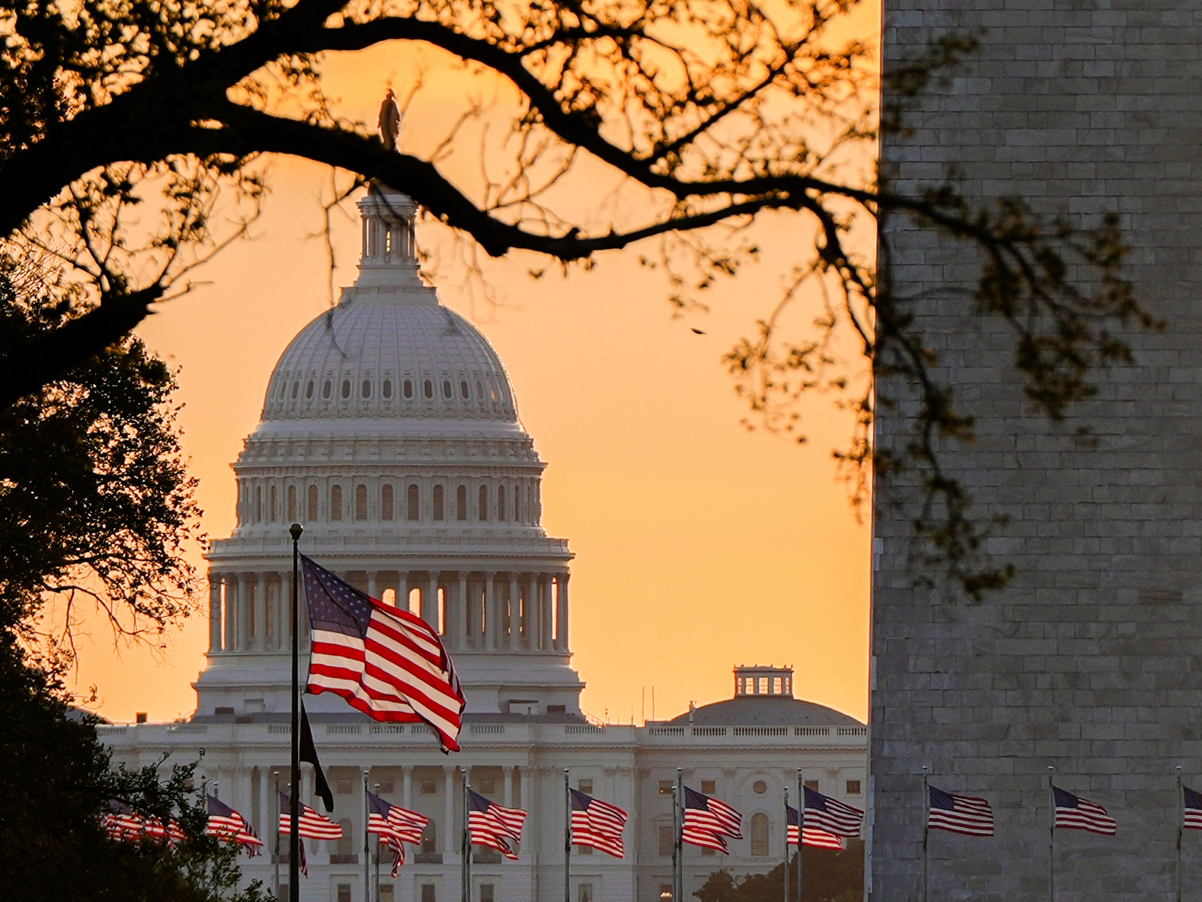 caption: American flags fly in front of the U.S. Capitol at sunrise, Wednesday, Oct. 1, in Washington.