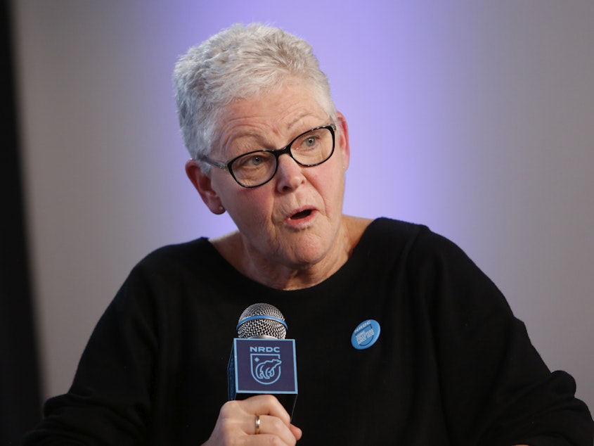 caption: Gina McCarthy, seen here in a file photo from January, was head of the Environmental Protection Agency during the Obama administration.