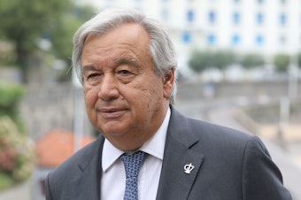 caption: United Nations Secretary-General António Guterres says "there was no unity around the world in the strategy to fight the pandemic."