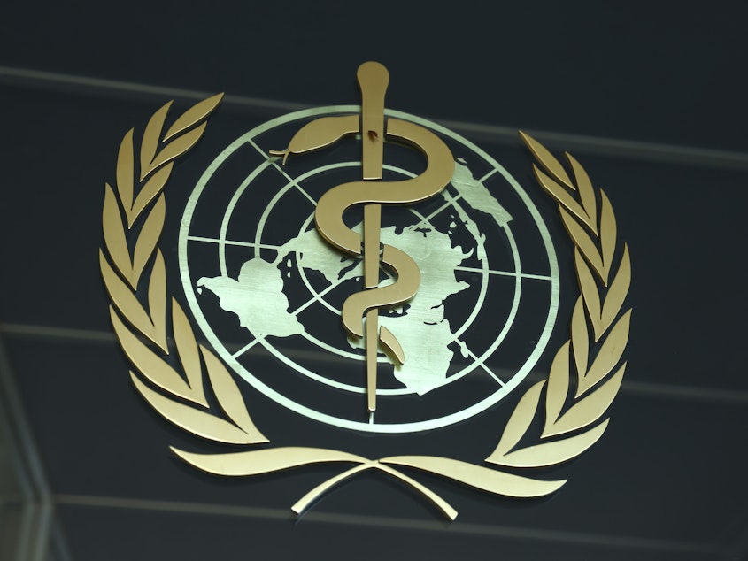 caption: On November 29, the World Health Organization will convene a virtual summit for its member states to consider the handling of future outbreaks. Pictured above: WHO headquarters in Geneva, Switzerland.
