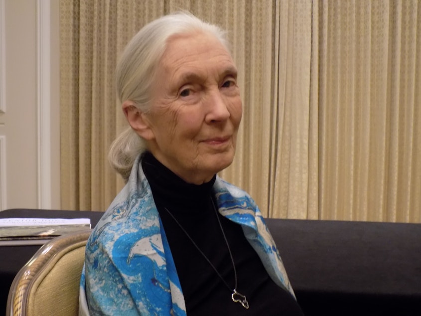 caption: Jane Goodall at a Seattle Foundation event in October, 2017.