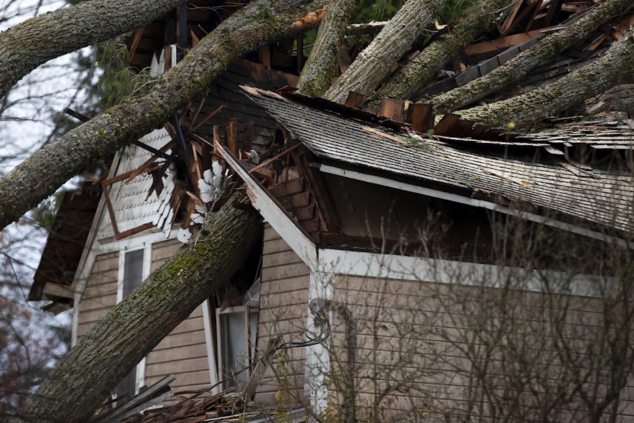 caption: A large tree that has fallen on a home following heavy winds sent by a "bomb cyclone" in the Pacific Ocean, is shown on Nov. 21, 2024, in Snohomish, Washington.