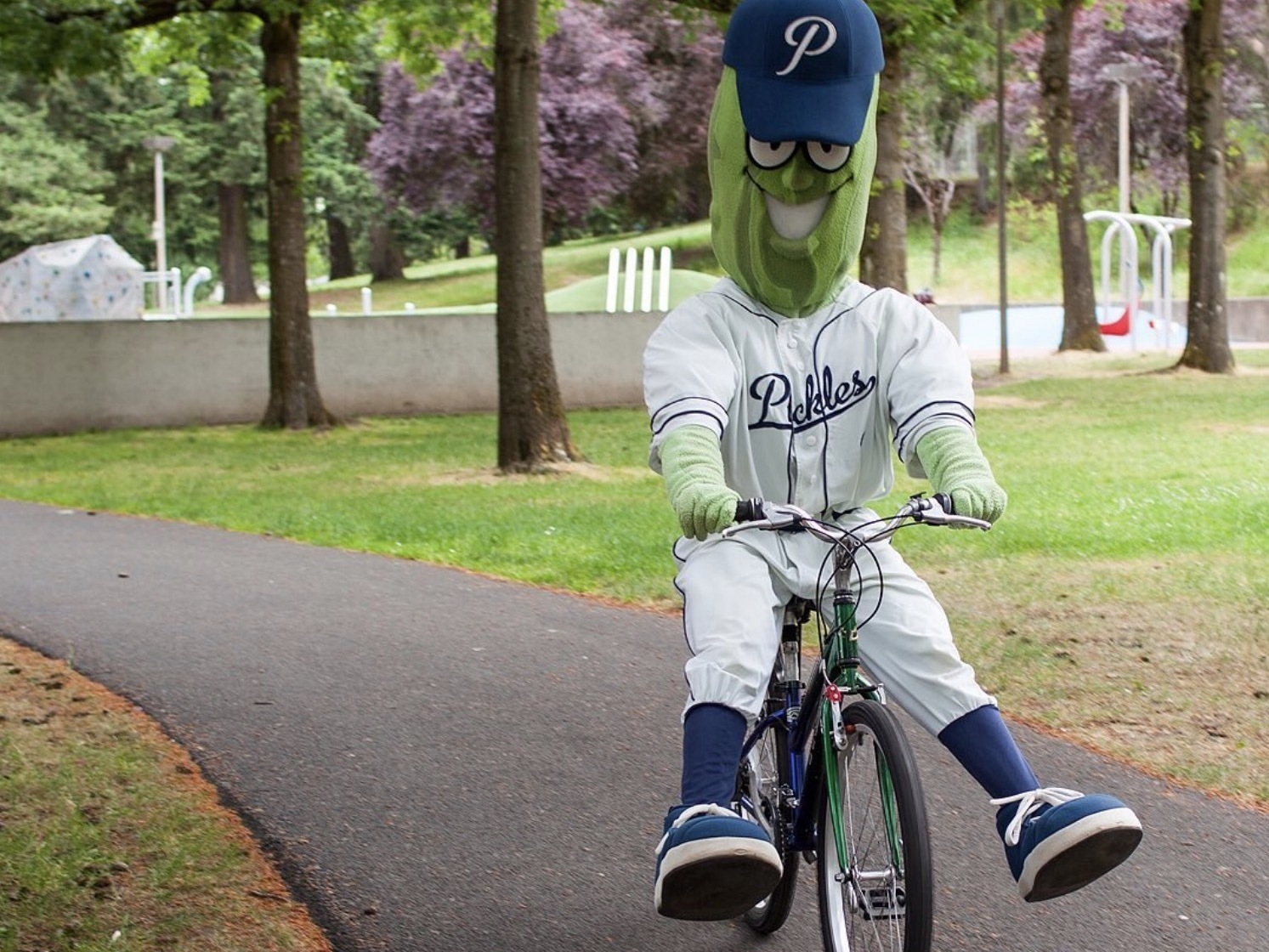 Porch pirate swipes Portland Pickles' mascot Dillon