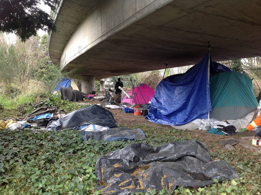 caption: A homeless encampment in what the city calls the I-5 East Duwamish Greenbelt. It's unofficially known as The Jungle. But officials say they are preparing to move the people who live here. 