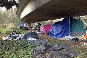 caption: A homeless encampment in what the city calls the I-5 East Duwamish Greenbelt. It's unofficially known as The Jungle. But officials say they are preparing to move the people who live here. 