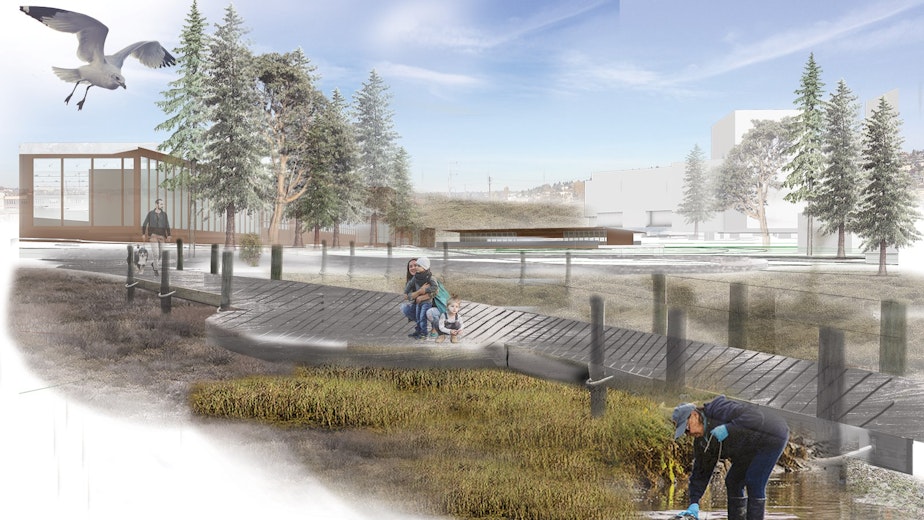 caption: Tidal estuary at the south end of a one mile long green space in Seattle's proposed new neighborhood.