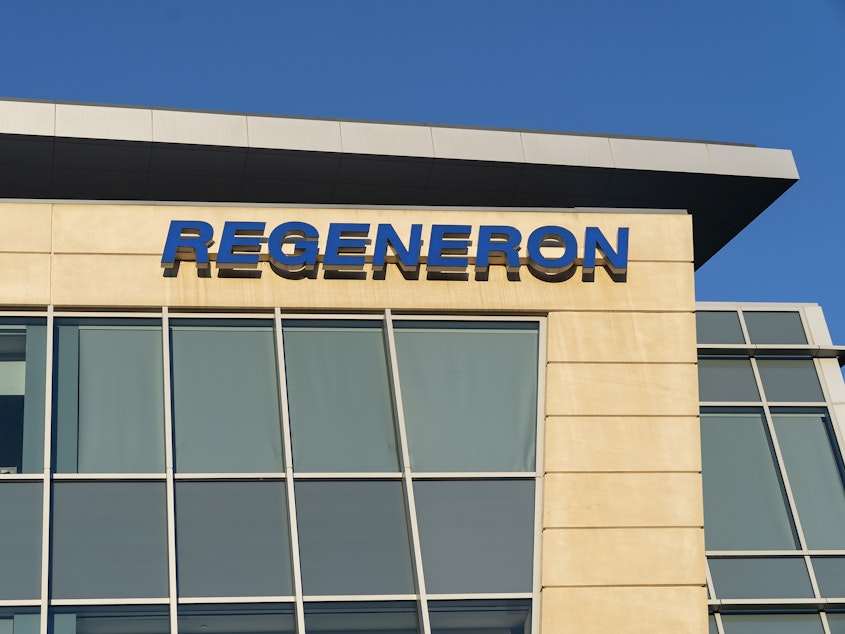 caption: Regeneron has developed a drug called REGN-COV2 that is a combination of two monoclonal antibodies that block the virus that causes COVID-19. The company has a contract to supply up to 300 million doses to the U.S. government.