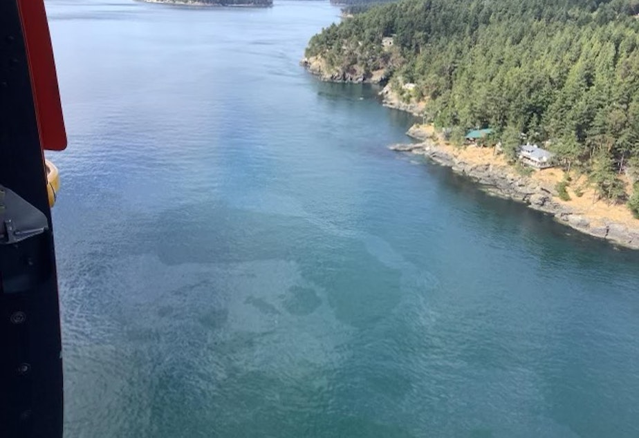 caption: Oil sheen off the west side of San Juan Island on August 13