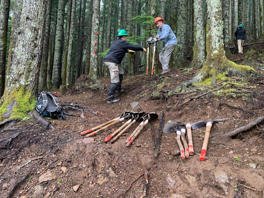 caption: Volunteers lay out tools in preparation for their maintenance work on the Rattlesnake Ledge trail.