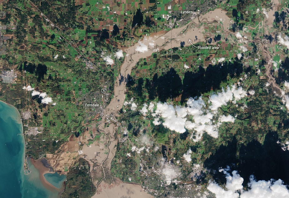 caption: Satellite image shows flooding of Washington's Nooksack River and sediment pouring into Bellingham Bay on Nov. 16, 2021.