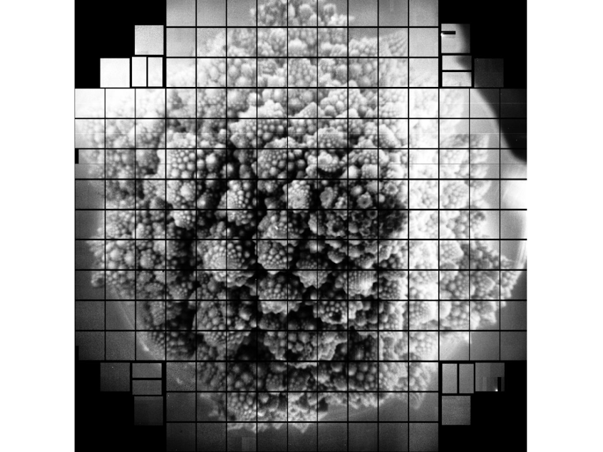 caption: Romanesco broccoli, as seen by a 3.2 billion pixel camera. Scientists chose to take a picture of the broccoli because of its fractal shape.